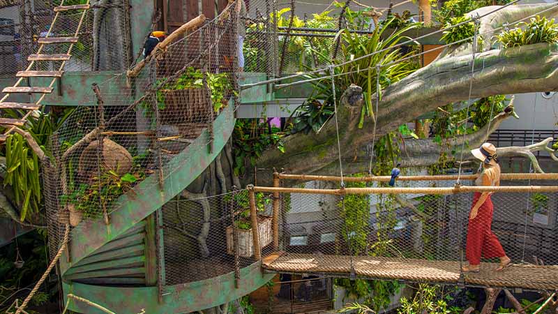 A person stands on a wooden bridge in an indoor tropical aviary with large artificial trees, spiral stairs, lush plants, and colorful birds.